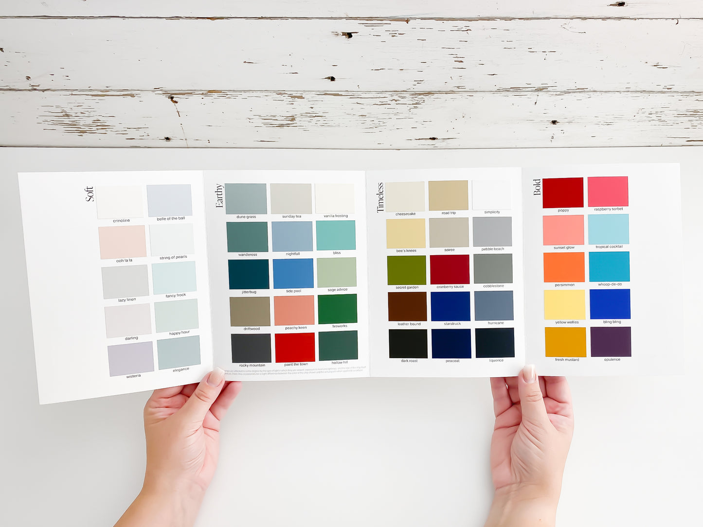 Inside View of Country Chic Paint Color Card held in hands
