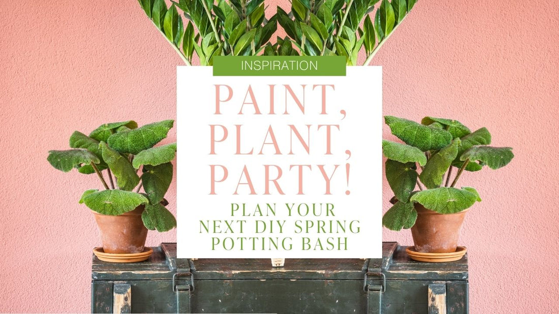 Paint, Plant, Party! Plan Your Next DIY Spring Potting Bash