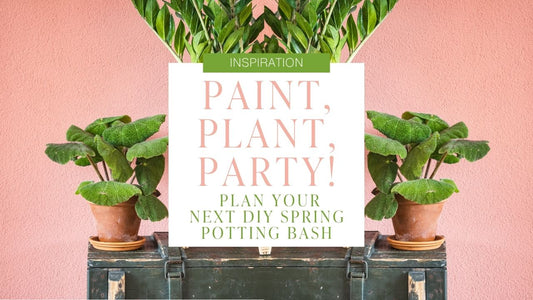 Paint, Plant, Party! Plan Your Next DIY Spring Potting Bash