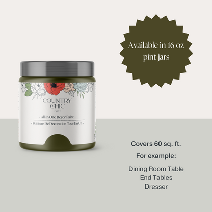 16oz jar of Country Chic Chalk Style All-In-One Paint in the color Neverland size availability and coverage