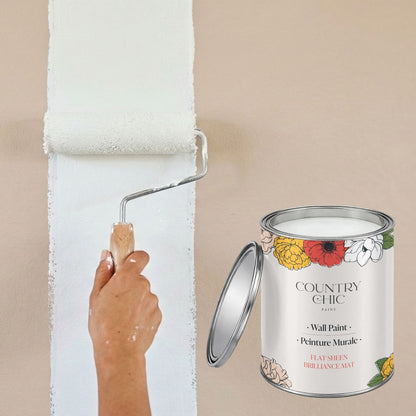 Interior Wall Paint | Simplicity
