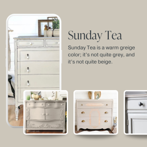 Light greige beige taupe chalk furniture paint Sunday Tea by Country Chic Paint furniture examples