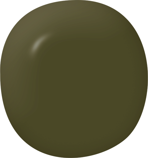 Limited Edition Paint Color Swatch from Country Chic Paint - olive green Neverland